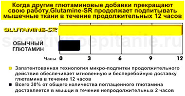 MHP Glutamine-SR действует 12 часов! MHP Glutamine-SR действует 12 часов!
